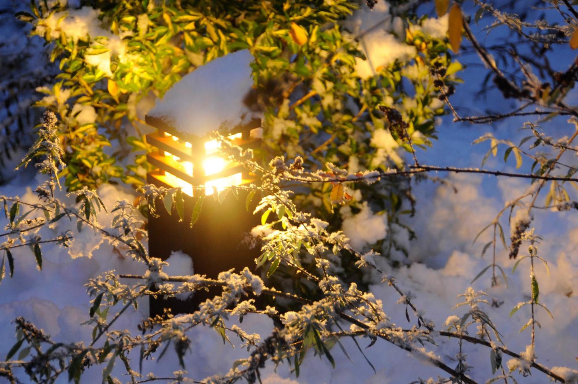 Apparthotel Gartenresidence Nalserhof Екстериор снимка